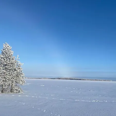 公寓 Simojaervi House - 1h 20m From Rovaniemi - Omakotitalo Simojaervellae 拉努阿