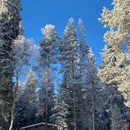 Apartamento Simojaervi House - 1h 20m From Rovaniemi - Omakotitalo Simojaervellae Ranua