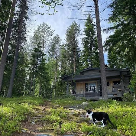 Apartamento Simojaervi House - 1h 20m From Rovaniemi - Omakotitalo Simojaervellae