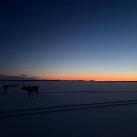 Simojaervi Lake House - 1H 20M From Rovaniemi City & Korouoma - Omakotitalo Simojaervellae Апартаменты Рануа