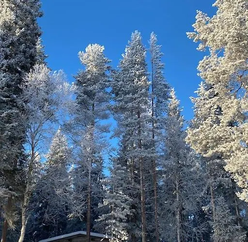 Apartment Simojaervi House - 1h 20m From Rovaniemi - Omakotitalo Simojaervellae Ranua