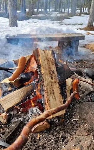 Simojaervi House - 1h 20m From Rovaniemi - Omakotitalo Simojaervellae * Ranua