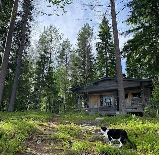 Lägenhet Simojaervi House - 1h 20m From Rovaniemi - Omakotitalo Simojaervellae