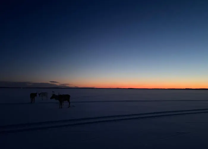 Simojaervi House - 1h 20m From Rovaniemi - Omakotitalo Simojaervellae Apartment Ranua